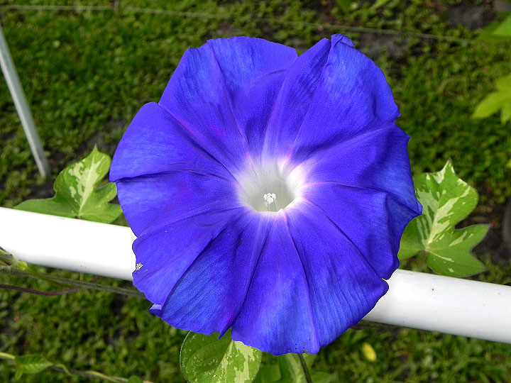 45w-DSCN7935