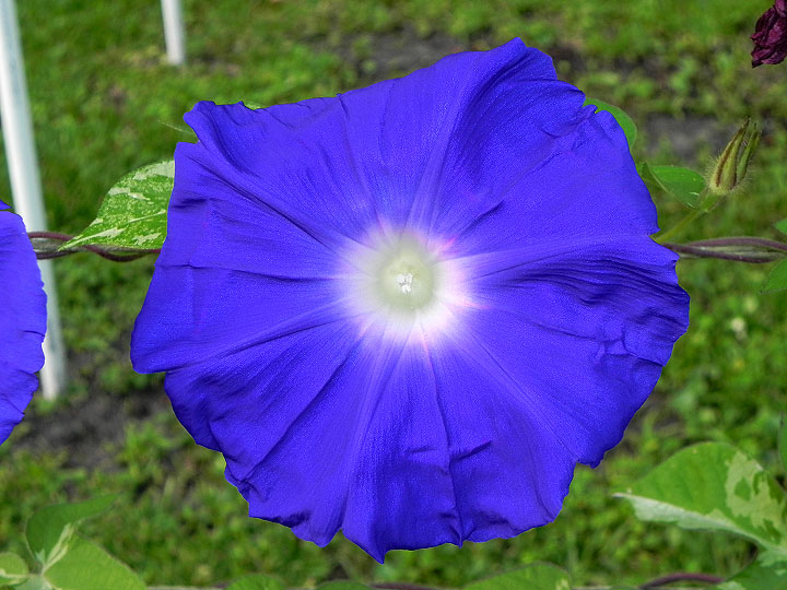 45w-DSCN8097