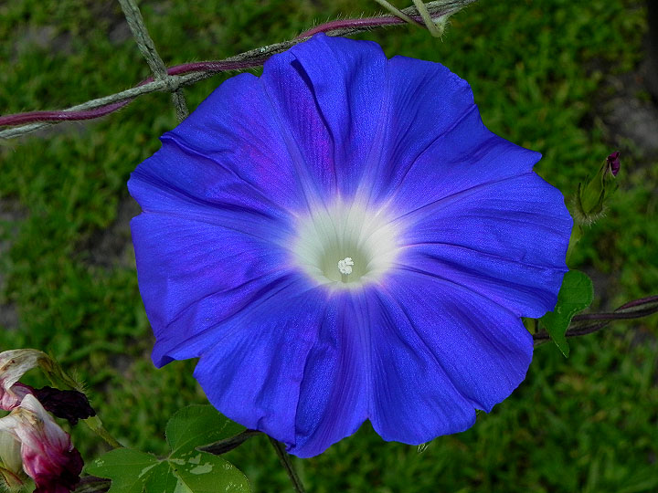 45w-DSCN8922