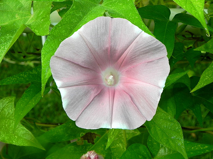 47w-DSCN1745