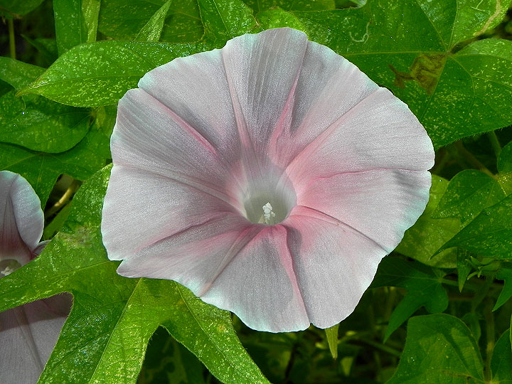47w-DSCN3167