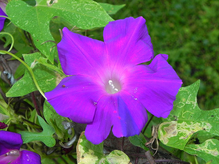 5-1-9-DSCN3969
