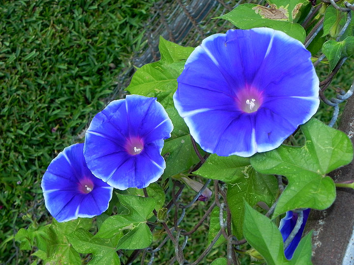 5-22-DSCN9647