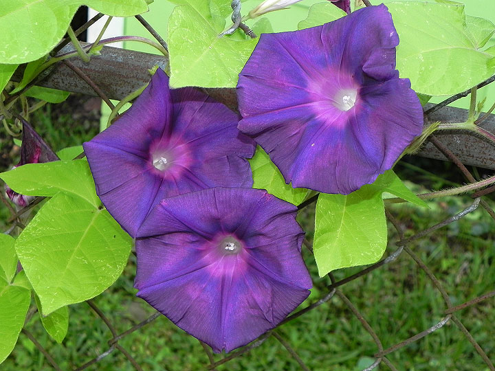 5-9-DSCN7895