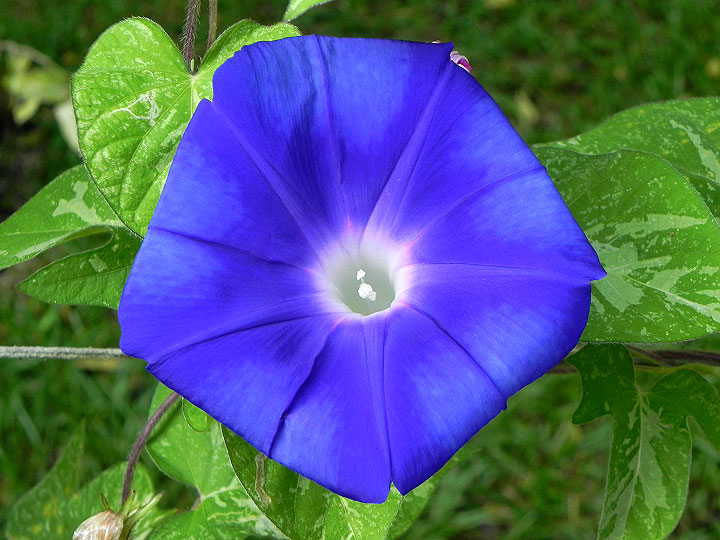 5-DSCN1685