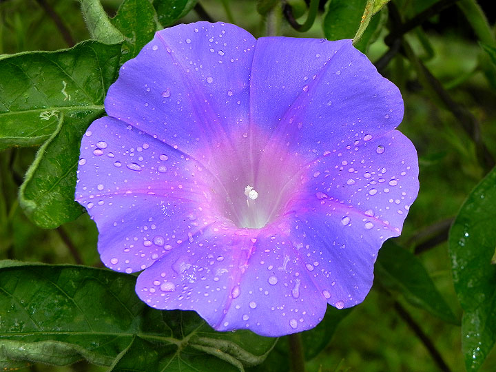 6-10-DSCN7952