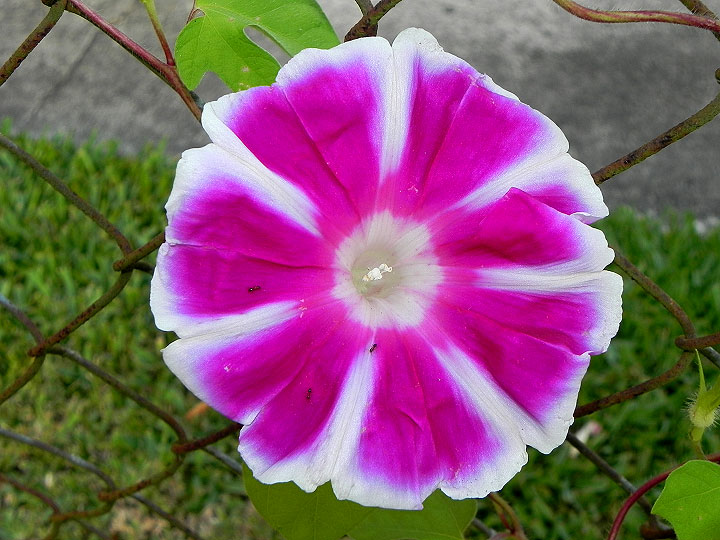 6-16-DSCN6215