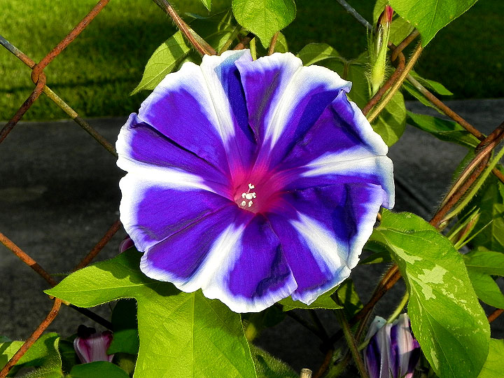 6-17-DSCN5930