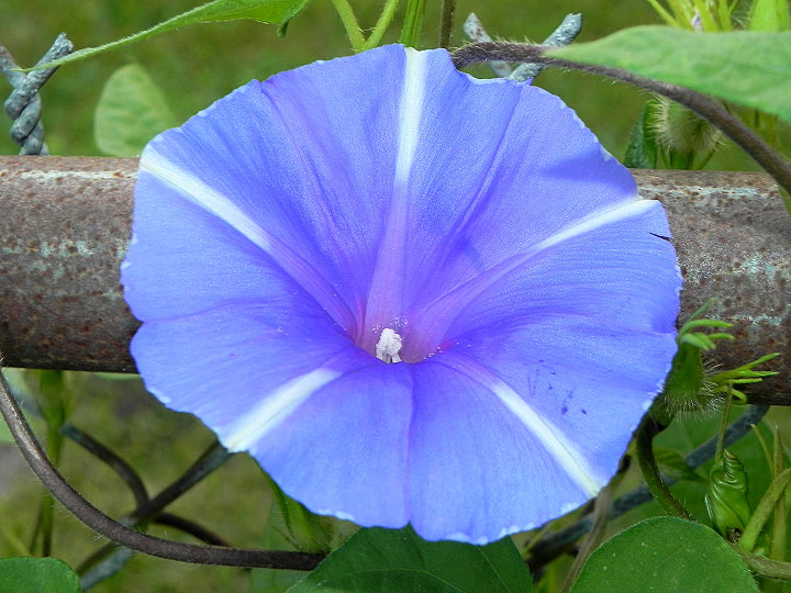 6-21n-DSCN2893