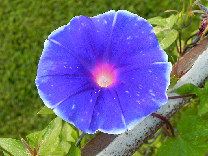 6-22o-DSCN4184