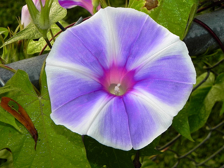 6-24-DSCN8631