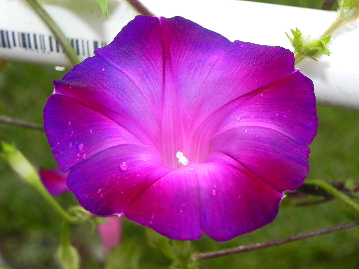 6-38s-DSCN6811