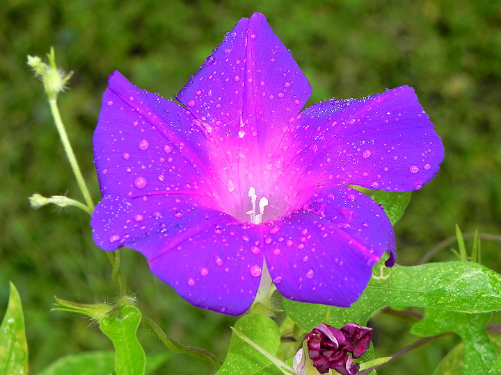 6-9-DSCN7956