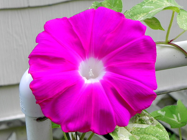 6-DSCN1637