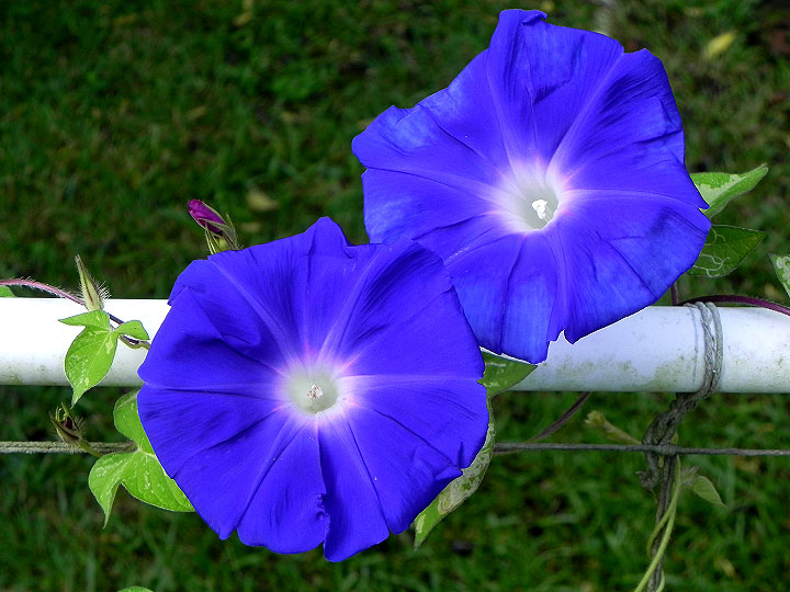 6-DSCN1684