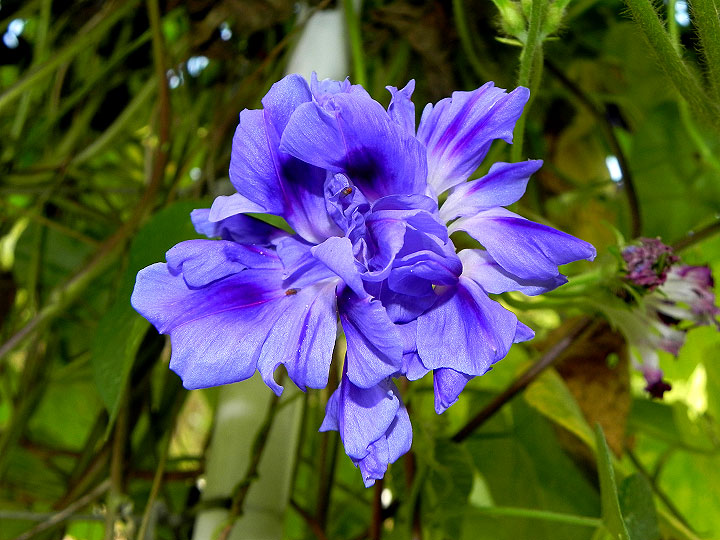 6-DSCN3385