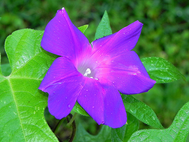 9-DSCN0299
