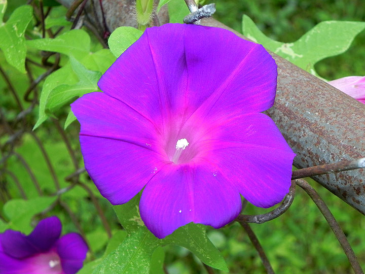 9-DSCN1237