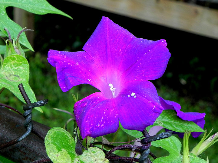 9-DSCN1705