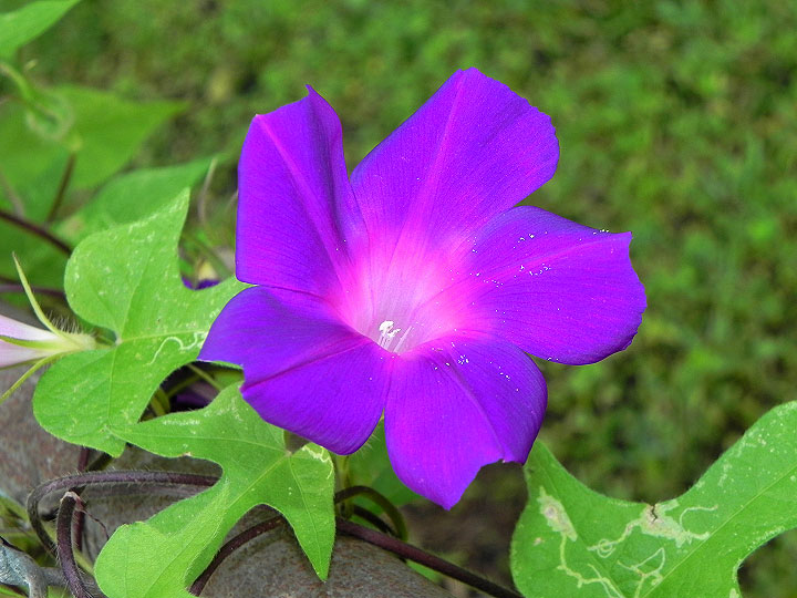 9-DSCN1898