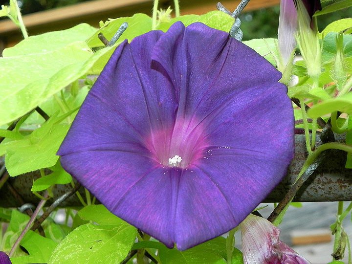 9-DSCN2380