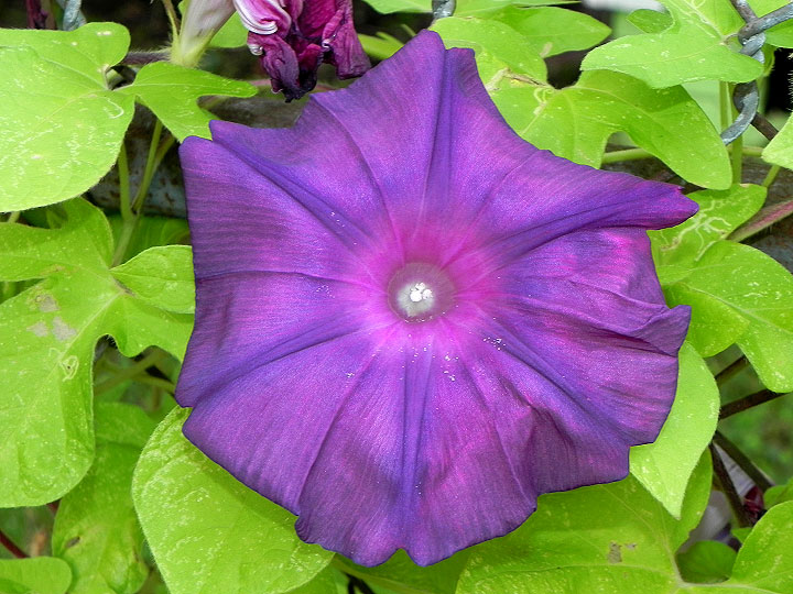 9-DSCN2579
