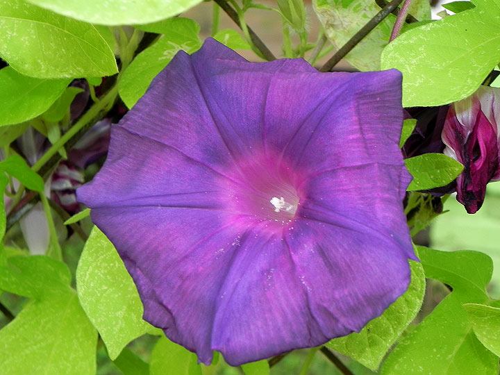 9-DSCN2581
