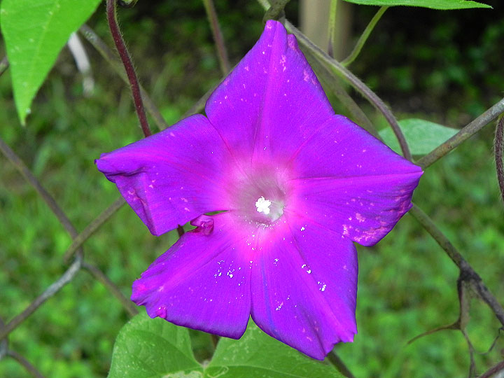9-DSCN2839