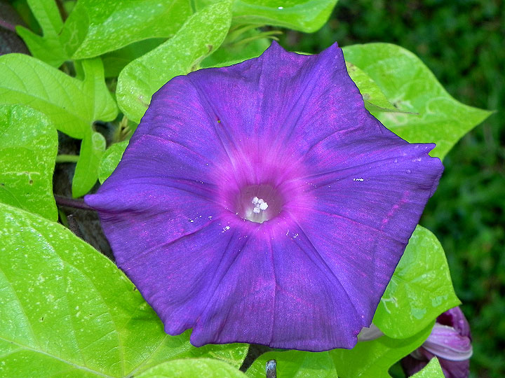 9-DSCN3091