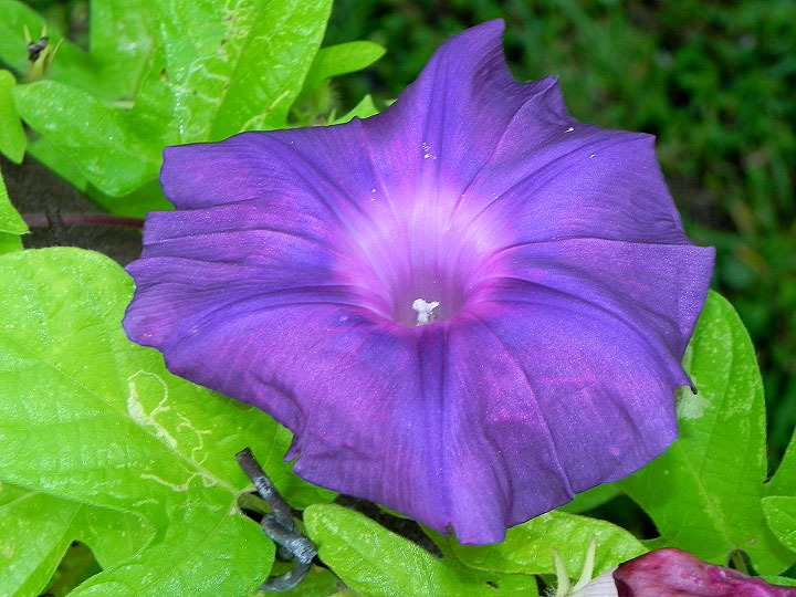 9-DSCN3092