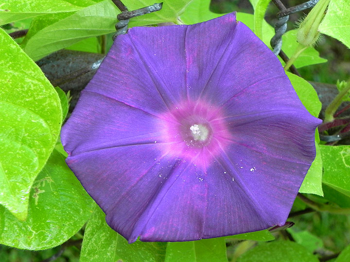 9-DSCN3368