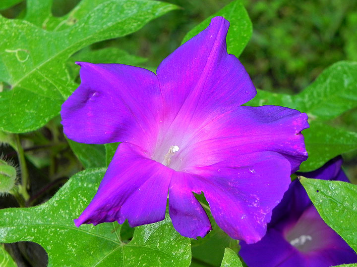 9-DSCN3645