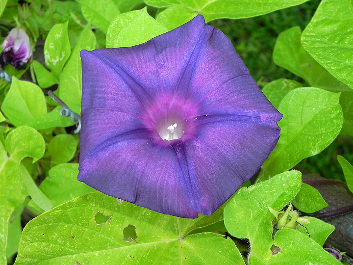9-DSCN3967