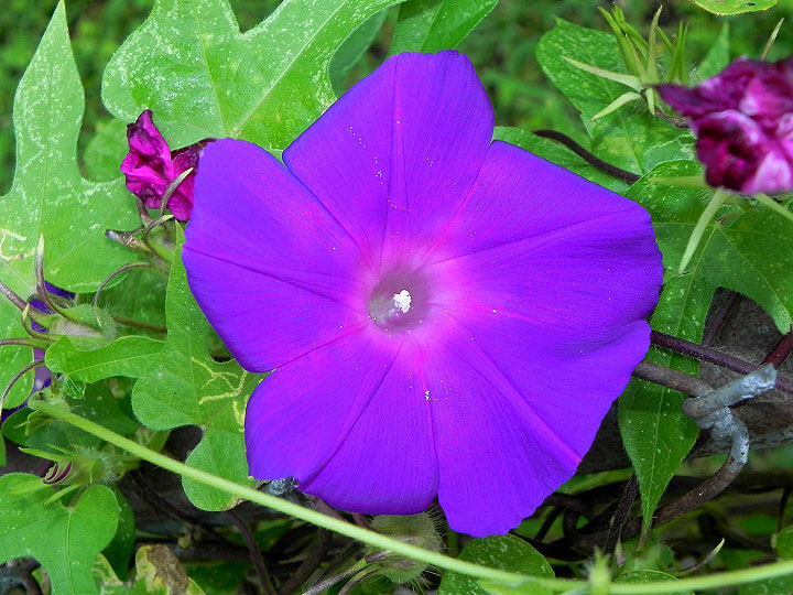 9-DSCN3970