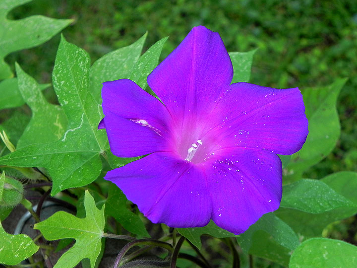9-DSCN3972