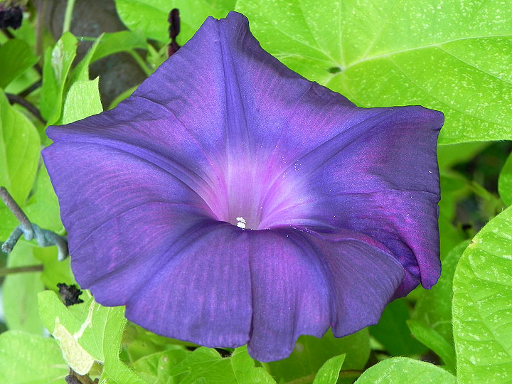 9-DSCN4277_01