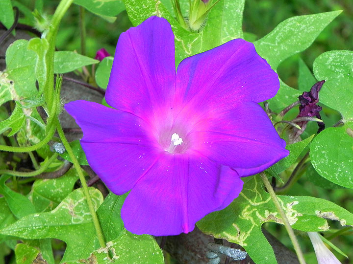 9-DSCN4278_01