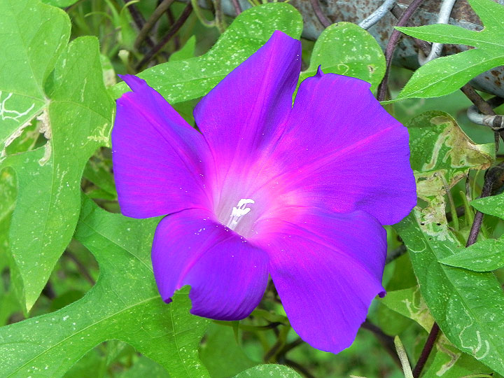 9-DSCN4279_01