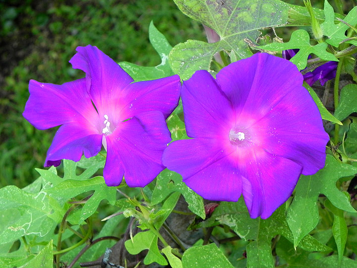 9-DSCN4280_01