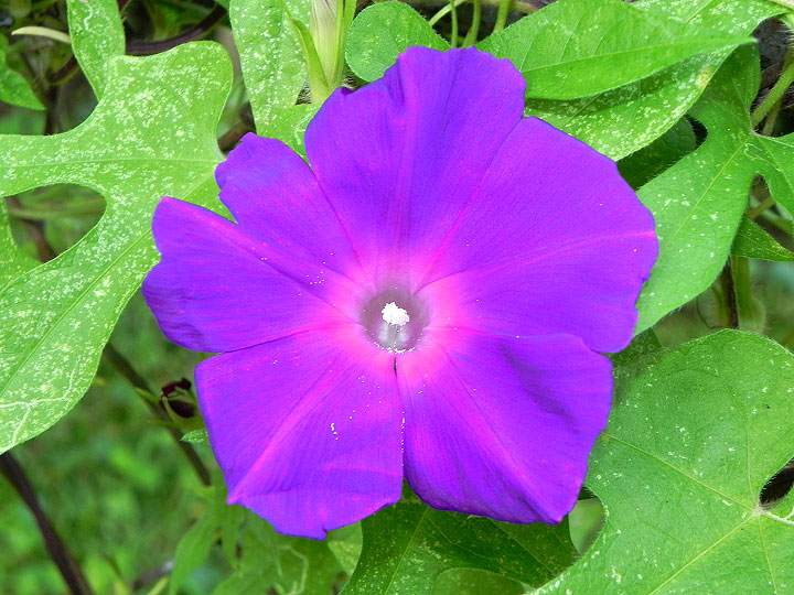 9-DSCN4569_01