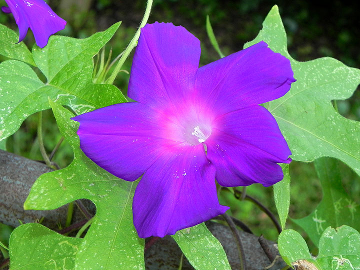 9-DSCN4571
