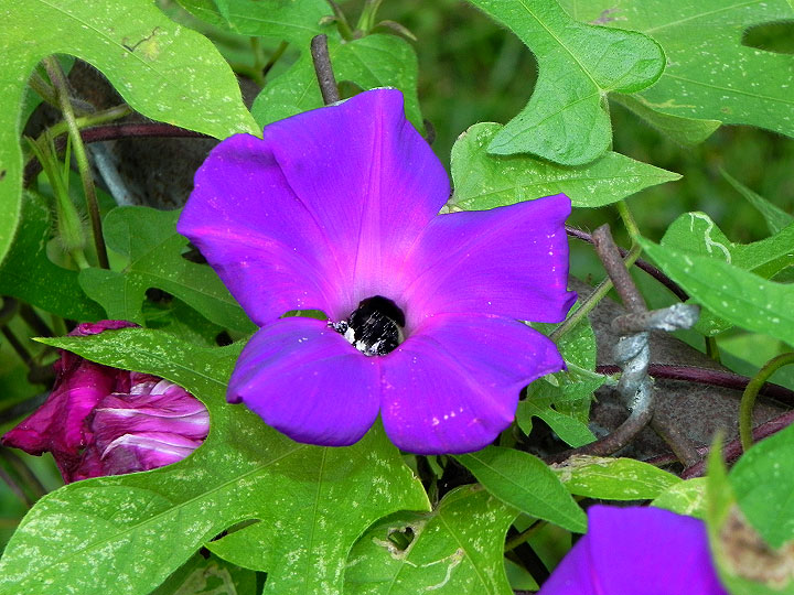 9-DSCN4900