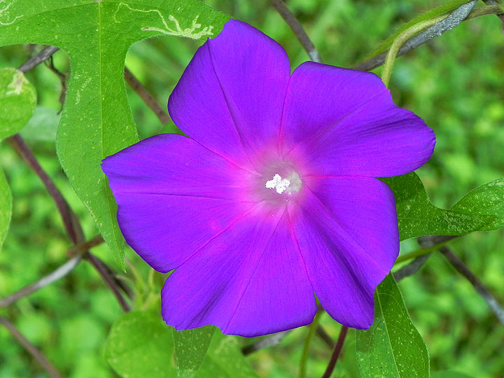 9-DSCN4903
