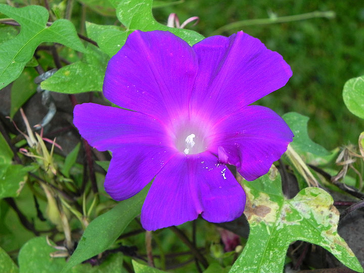 9-DSCN5206