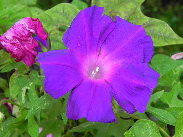 9-DSCN5207