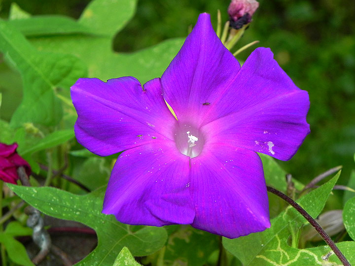 9-DSCN5479