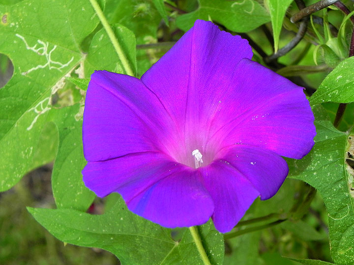 9-DSCN5480