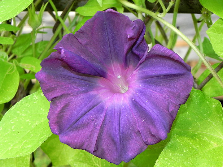 9-DSCN5609_01