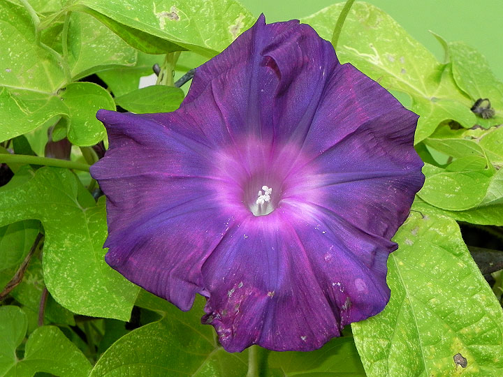 9-DSCN5722