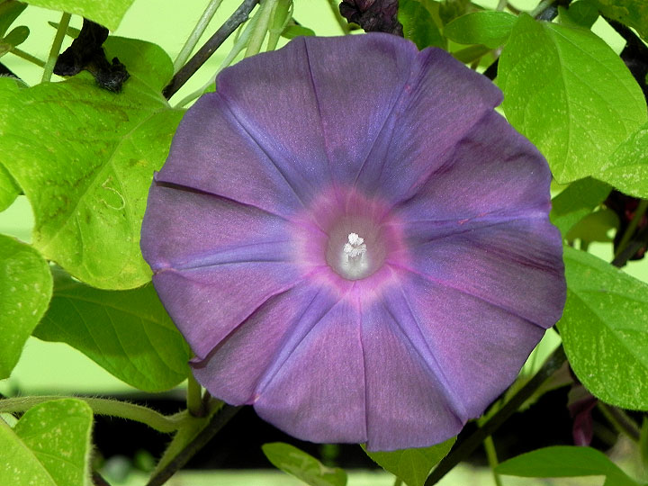9-DSCN5723